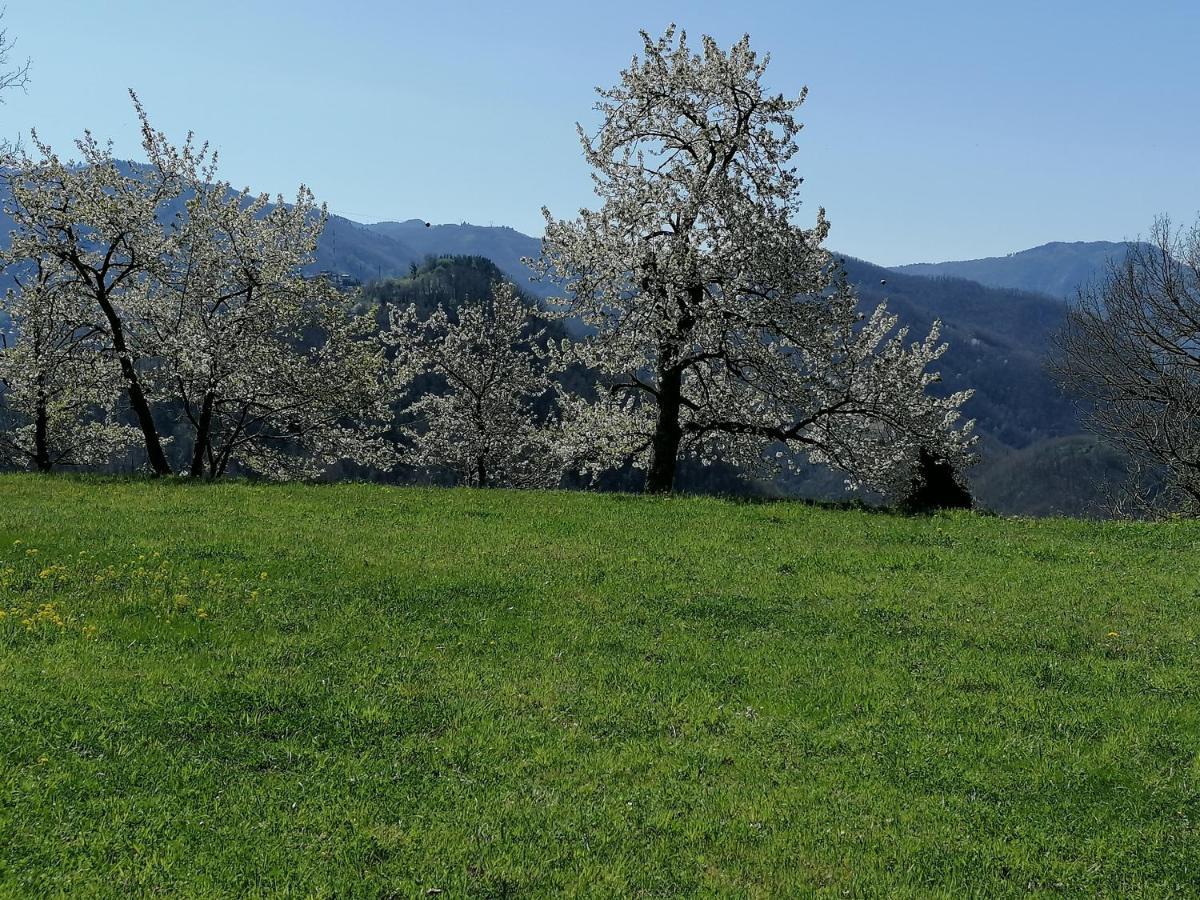 La Casa In Valli 35 Bagni di Lucca Εξωτερικό φωτογραφία