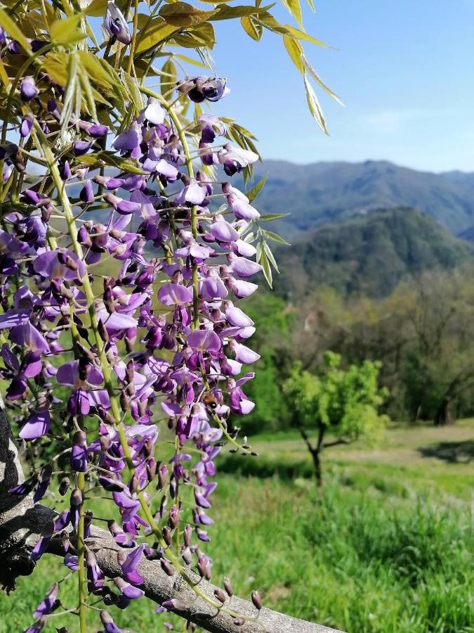 La Casa In Valli 35 Bagni di Lucca Εξωτερικό φωτογραφία