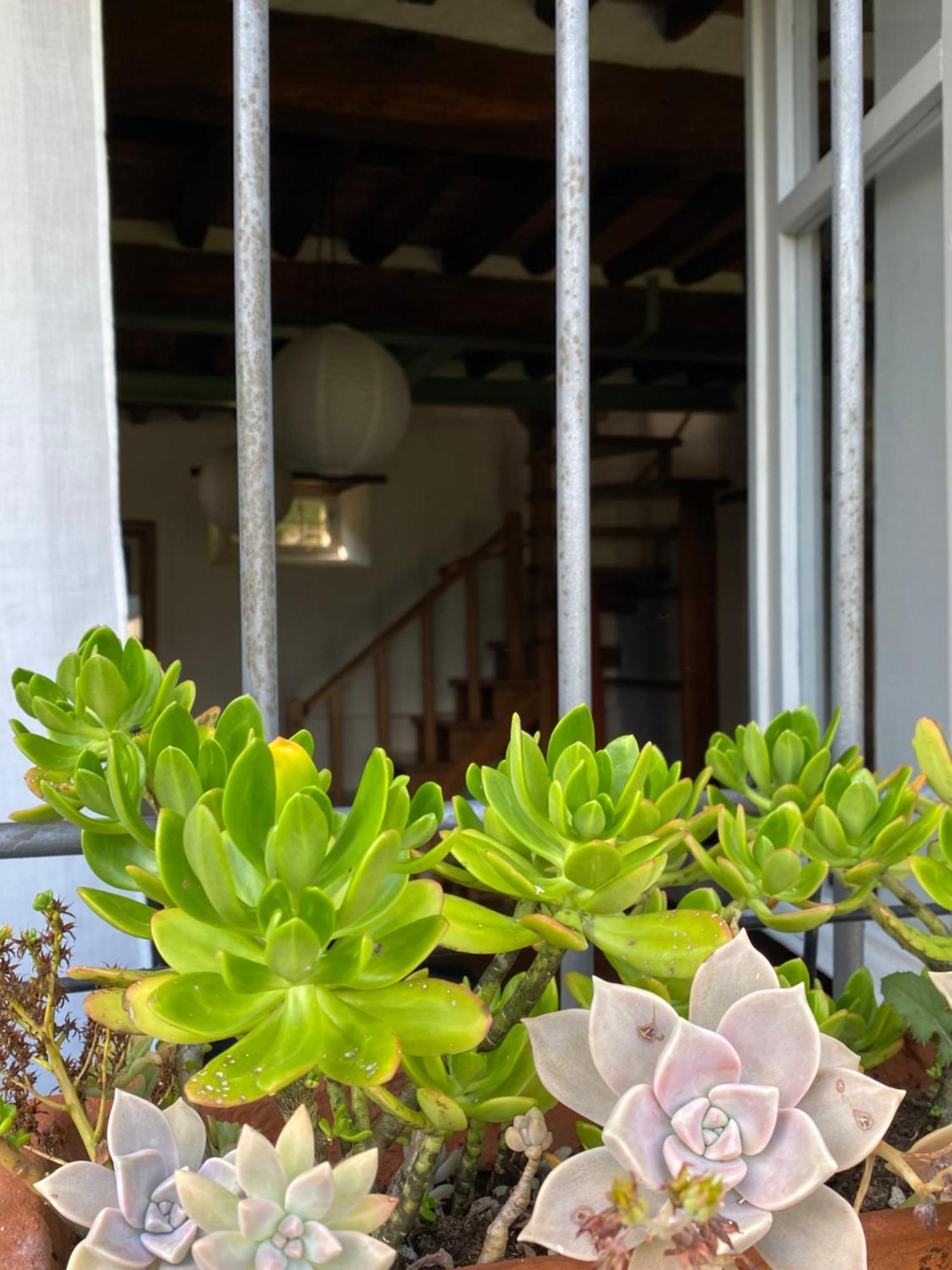 La Casa In Valli 35 Bagni di Lucca Εξωτερικό φωτογραφία